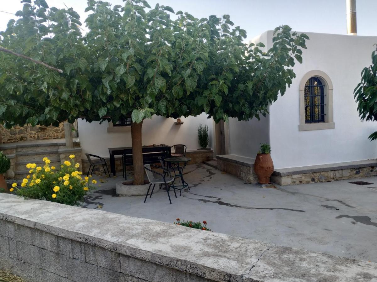 Xenios Z Rustic Rural Cottage Karidi Kültér fotó